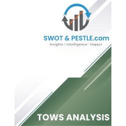 Air Astana TOWS Analysis