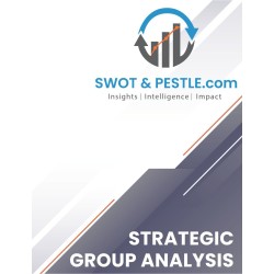 Air Astana Strategic Group Analysis